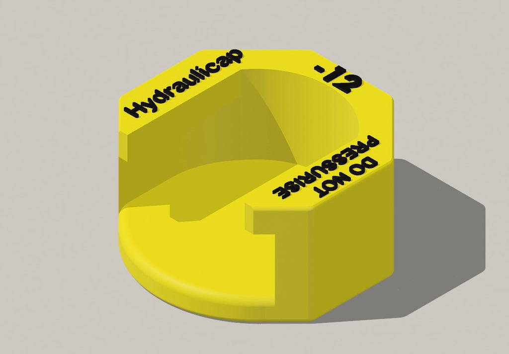 CAT Flange -12 Hydraulicap and Slug Kit
